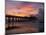 Pier at Sunrise with Reflections of Clouds on Beach, Tybee Island, Georgia, USA-Joanne Wells-Mounted Photographic Print