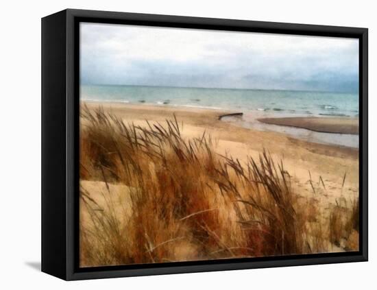 Pier Cove Beach With Autumn Grasses-Michelle Calkins-Framed Stretched Canvas