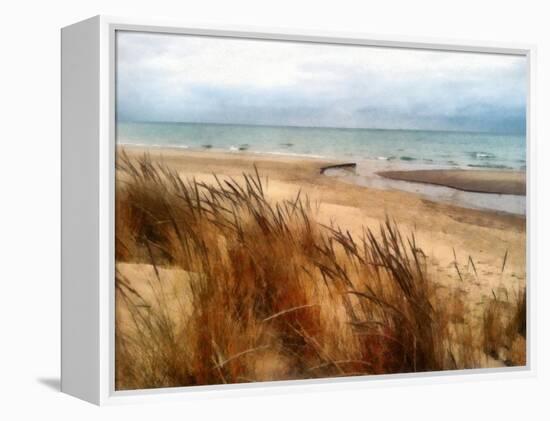 Pier Cove Beach With Autumn Grasses-Michelle Calkins-Framed Stretched Canvas