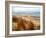 Pier Cove Beach With Autumn Grasses-Michelle Calkins-Framed Photo