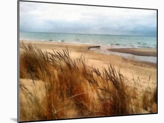 Pier Cove Beach With Autumn Grasses-Michelle Calkins-Mounted Photo