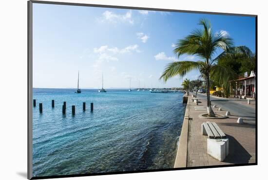 Pier in Kralendijk Capital of Bonaire, ABC Islands, Netherlands Antilles, Caribbean-Michael Runkel-Mounted Photographic Print