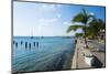 Pier in Kralendijk Capital of Bonaire, ABC Islands, Netherlands Antilles, Caribbean-Michael Runkel-Mounted Photographic Print