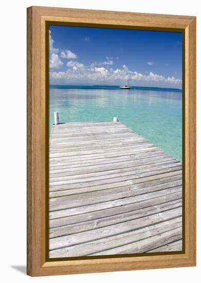 Pier over Clear Waters, Southwater Cay, Stann Creek, Belize-Cindy Miller Hopkins-Framed Premier Image Canvas