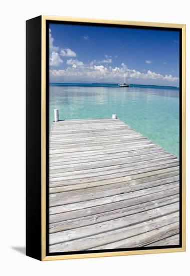 Pier over Clear Waters, Southwater Cay, Stann Creek, Belize-Cindy Miller Hopkins-Framed Premier Image Canvas