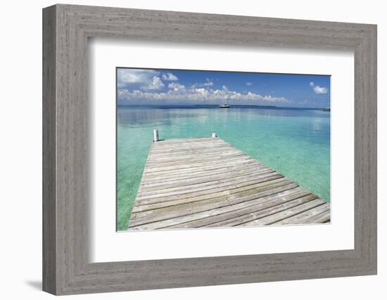 Pier over Clear Waters, Southwater Cay, Stann Creek, Belize-Cindy Miller Hopkins-Framed Photographic Print