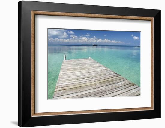 Pier over Clear Waters, Southwater Cay, Stann Creek, Belize-Cindy Miller Hopkins-Framed Photographic Print