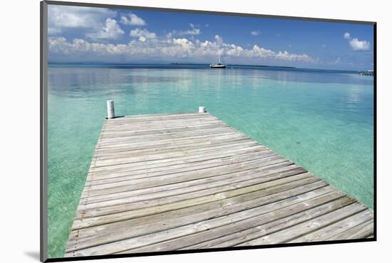 Pier over Clear Waters, Southwater Cay, Stann Creek, Belize-Cindy Miller Hopkins-Mounted Photographic Print