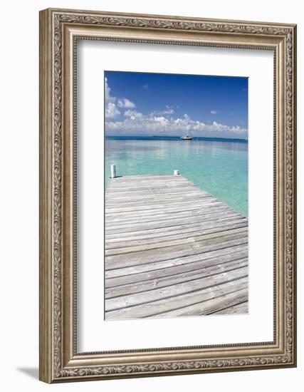 Pier over Clear Waters, Southwater Cay, Stann Creek, Belize-Cindy Miller Hopkins-Framed Photographic Print