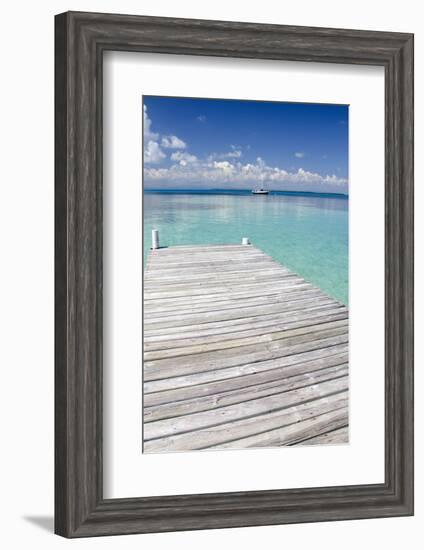 Pier over Clear Waters, Southwater Cay, Stann Creek, Belize-Cindy Miller Hopkins-Framed Photographic Print