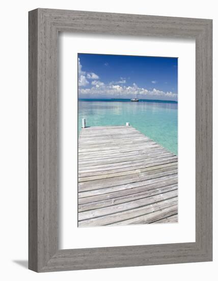 Pier over Clear Waters, Southwater Cay, Stann Creek, Belize-Cindy Miller Hopkins-Framed Photographic Print