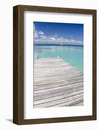 Pier over Clear Waters, Southwater Cay, Stann Creek, Belize-Cindy Miller Hopkins-Framed Photographic Print