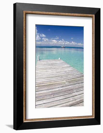 Pier over Clear Waters, Southwater Cay, Stann Creek, Belize-Cindy Miller Hopkins-Framed Photographic Print