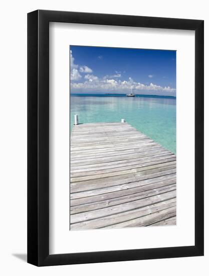 Pier over Clear Waters, Southwater Cay, Stann Creek, Belize-Cindy Miller Hopkins-Framed Photographic Print