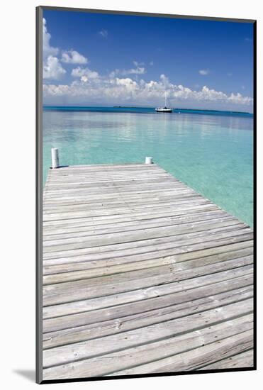 Pier over Clear Waters, Southwater Cay, Stann Creek, Belize-Cindy Miller Hopkins-Mounted Photographic Print