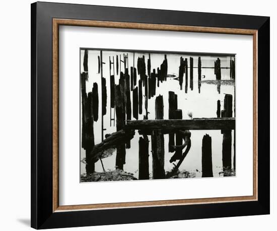 Pier Piles, Oregon, 1967-Brett Weston-Framed Photographic Print