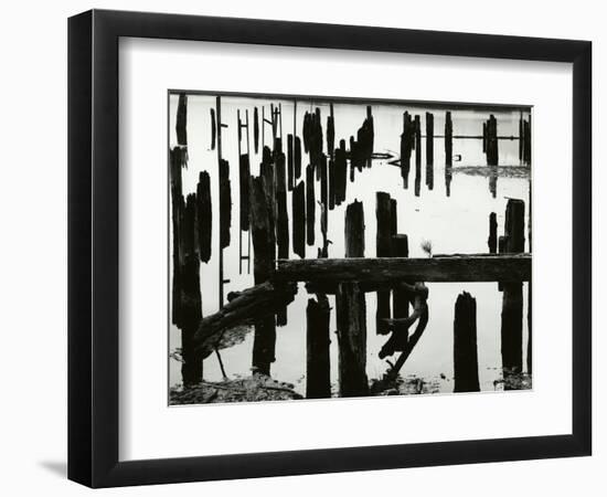 Pier Piles, Oregon, 1967-Brett Weston-Framed Photographic Print