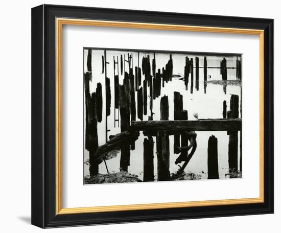 Pier Piles, Oregon, 1967-Brett Weston-Framed Photographic Print