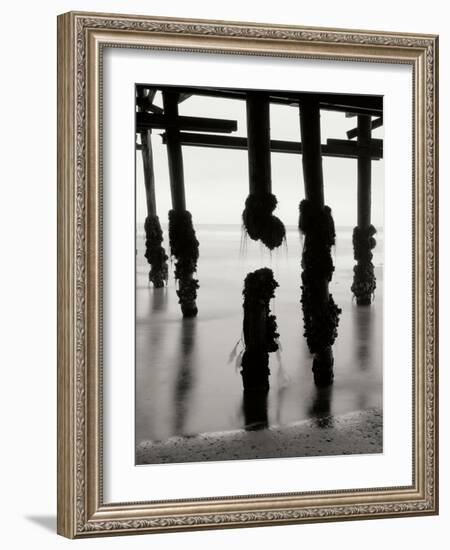 Pier Pilings 10-Lee Peterson-Framed Photographic Print