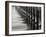 Pier Pilings 12-Lee Peterson-Framed Photographic Print