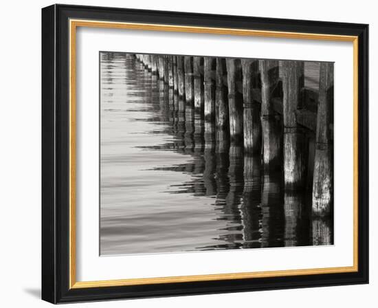 Pier Pilings 12-Lee Peterson-Framed Photographic Print