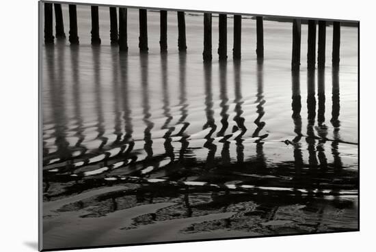 Pier Pilings 14-Lee Peterson-Mounted Photographic Print