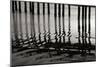 Pier Pilings 14-Lee Peterson-Mounted Photographic Print