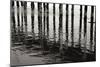 Pier Pilings 15-Lee Peterson-Mounted Photographic Print