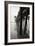 Pier Pilings 17-Lee Peterson-Framed Photographic Print