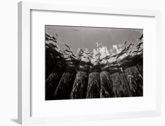 Pier Pilings 1-Lee Peterson-Framed Photographic Print