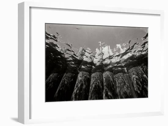 Pier Pilings 1-Lee Peterson-Framed Photographic Print