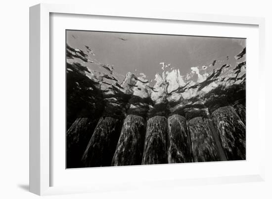 Pier Pilings 1-Lee Peterson-Framed Photographic Print