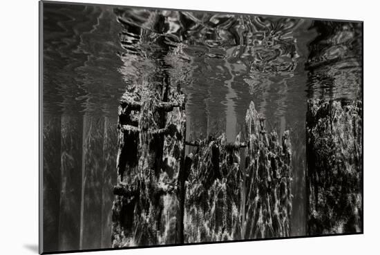 Pier Pilings 2-Lee Peterson-Mounted Photographic Print