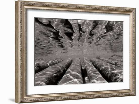 Pier Pilings 3-Lee Peterson-Framed Photographic Print