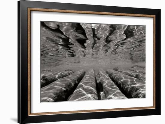 Pier Pilings 3-Lee Peterson-Framed Photographic Print