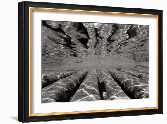 Pier Pilings 3-Lee Peterson-Framed Photographic Print