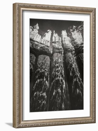 Pier Pilings 7-Lee Peterson-Framed Photographic Print