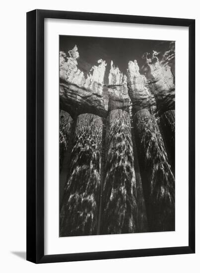 Pier Pilings 7-Lee Peterson-Framed Photographic Print