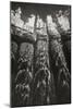 Pier Pilings 7-Lee Peterson-Mounted Photographic Print