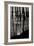 Pier Pilings 9-Lee Peterson-Framed Photographic Print