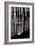 Pier Pilings 9-Lee Peterson-Framed Photographic Print