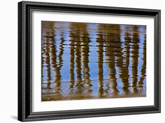 Pier Reflections II-Lee Peterson-Framed Photo