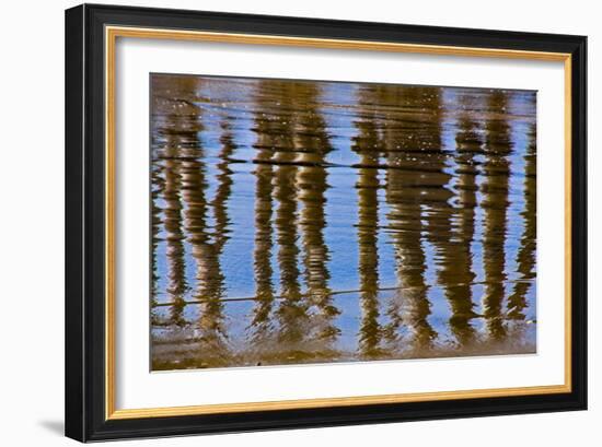 Pier Reflections II-Lee Peterson-Framed Photo