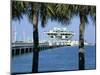 Pier, St. Petersburg, Gulf Coast, Florida, USA-J Lightfoot-Mounted Photographic Print