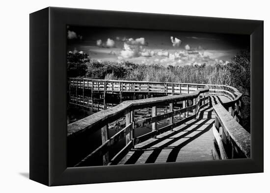 Pier Trail - Everglades National Park - Unesco World Heritage Site - Florida - USA-Philippe Hugonnard-Framed Premier Image Canvas