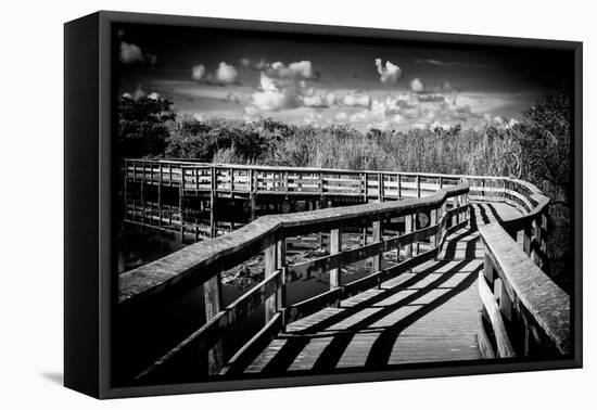 Pier Trail - Everglades National Park - Unesco World Heritage Site - Florida - USA-Philippe Hugonnard-Framed Premier Image Canvas