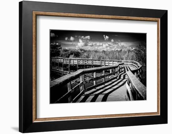 Pier Trail - Everglades National Park - Unesco World Heritage Site - Florida - USA-Philippe Hugonnard-Framed Photographic Print