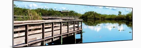 Pier Trail - Everglades National Park - Unesco World Heritage Site - Florida - USA-Philippe Hugonnard-Mounted Photographic Print