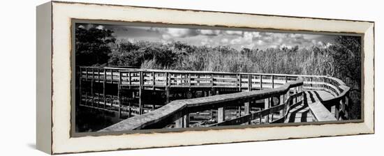 Pier Trail - Everglades National Park - Unesco World Heritage Site - Florida - USA-Philippe Hugonnard-Framed Premier Image Canvas