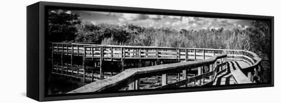 Pier Trail - Everglades National Park - Unesco World Heritage Site - Florida - USA-Philippe Hugonnard-Framed Premier Image Canvas